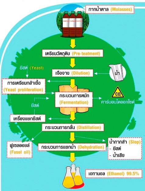 การบวนการผลิต เอทานอล โดยใช้ กากน้ำตาล