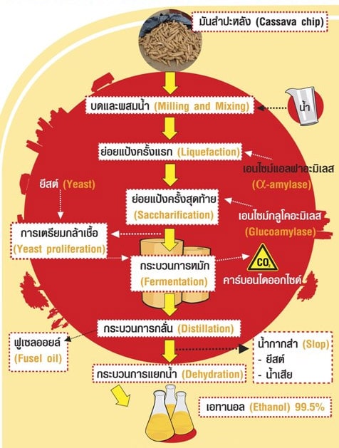 การบวนการผลิต เอทานอล โดยใช้ มันสำปะหลัง