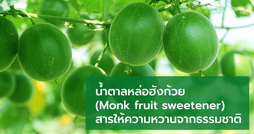 Monk Fruit Sweetener- น้ำตาลหล่อฮังก๊วย