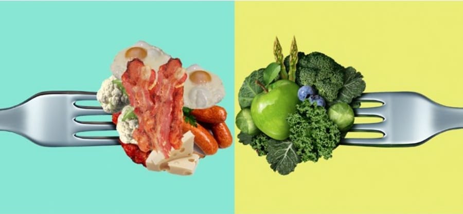 Diet Wars - Banting Vs Veganism - Health & Wellness - Spec-Savers South  Africa