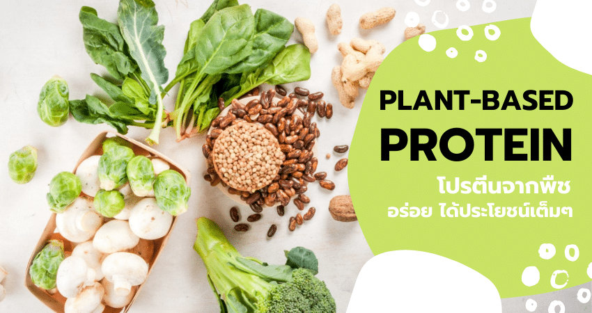 Tinnakorn_ Plant-based protein โปรตีนจากพืช อร่อย ได้ประโยชน์เต็มๆ