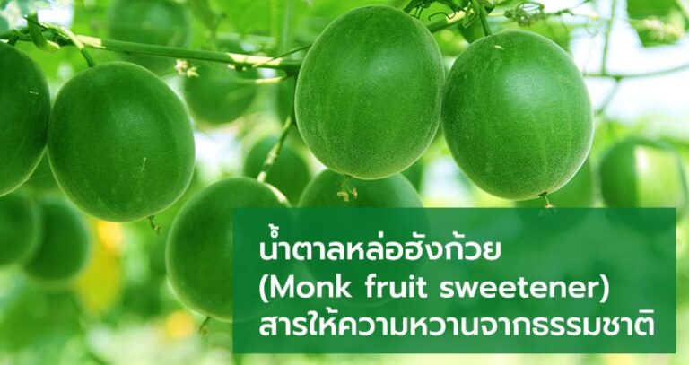Monk-fruit-sweetener-cover