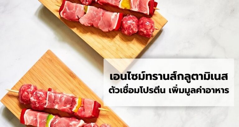 -ตัวเชื่อมโปรตีน-เพิ่มมูลค่าอาหาร-1